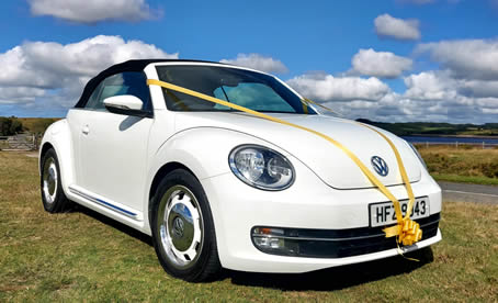 VW Beetle Convertible